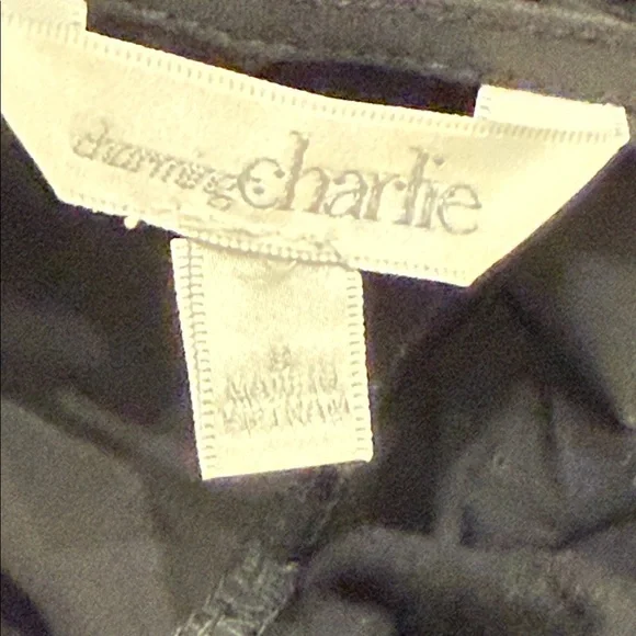 Charming Charlie Elegant Black Sleeveless Slip - Picture 6 of 6